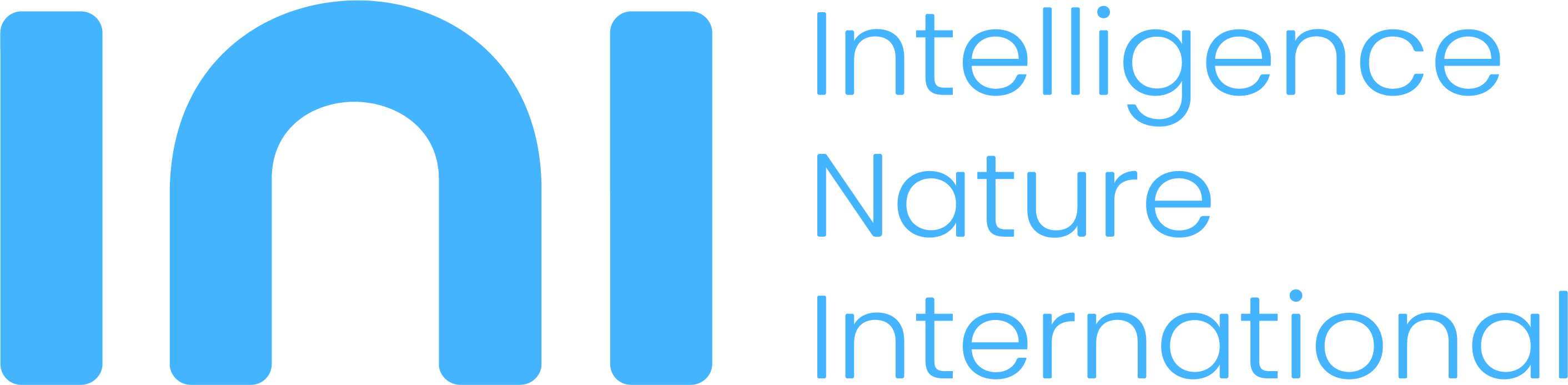 Audit & Assurance - Intelligence Nature International